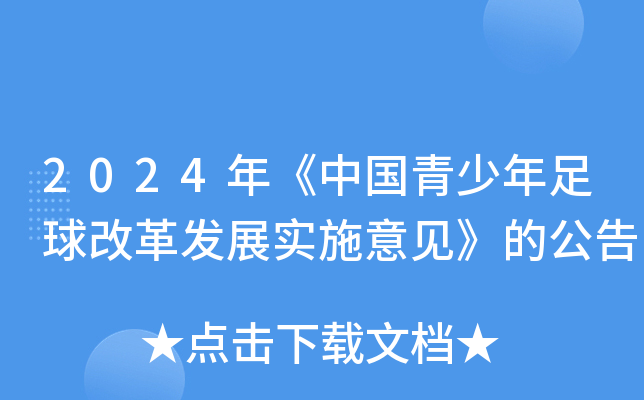 2024�꡶�й�����������ĸ﷢չʵʩ������Ĺ���